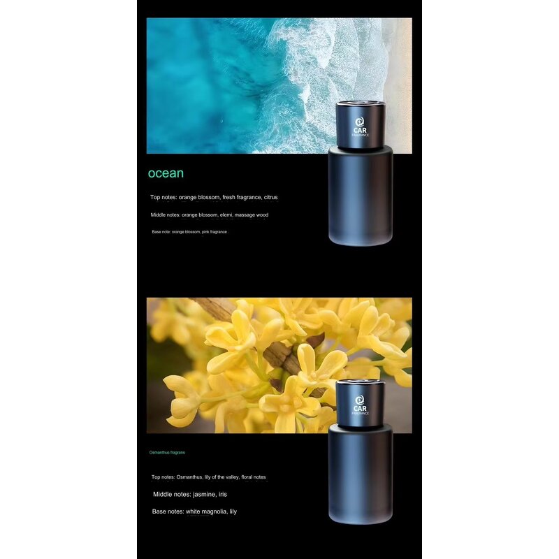 Smart Car Freshener Manufacturer - OEM Luxury Glass Bottle Fragrance Spray