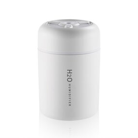 USB Air Humidifier Manufacturer - OEM Mini 300ml Cool Mist Diffuser