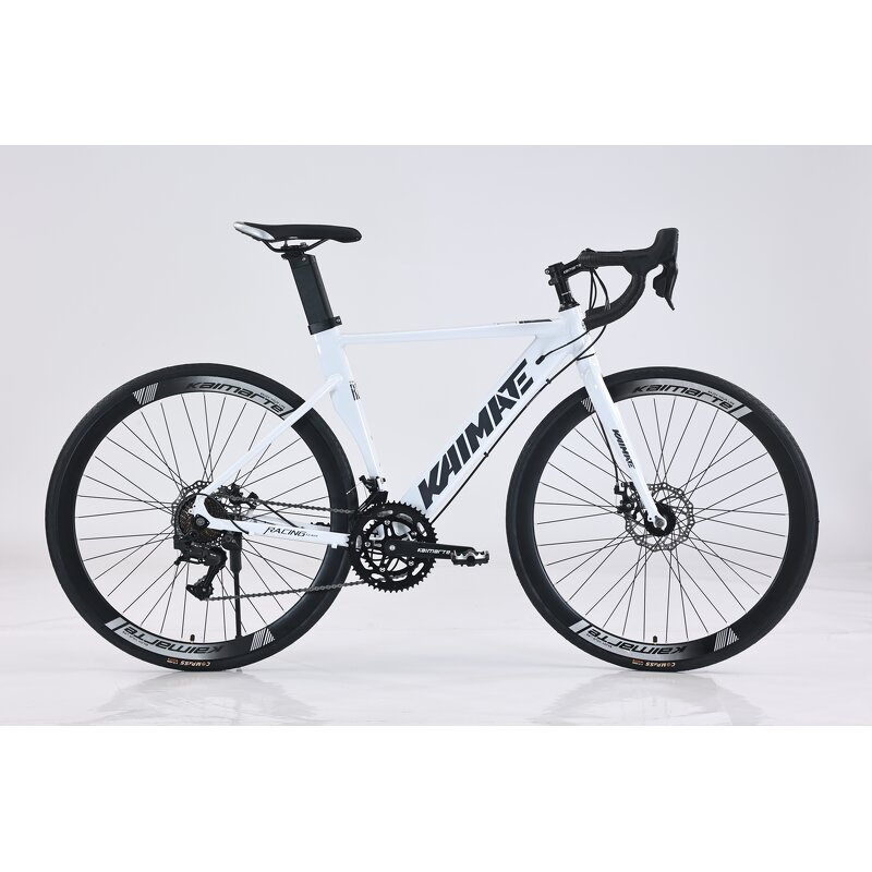 700C Bicycle Manufacturer - OEM Aluminum Alloy Dual Disc Brake Variable Speed