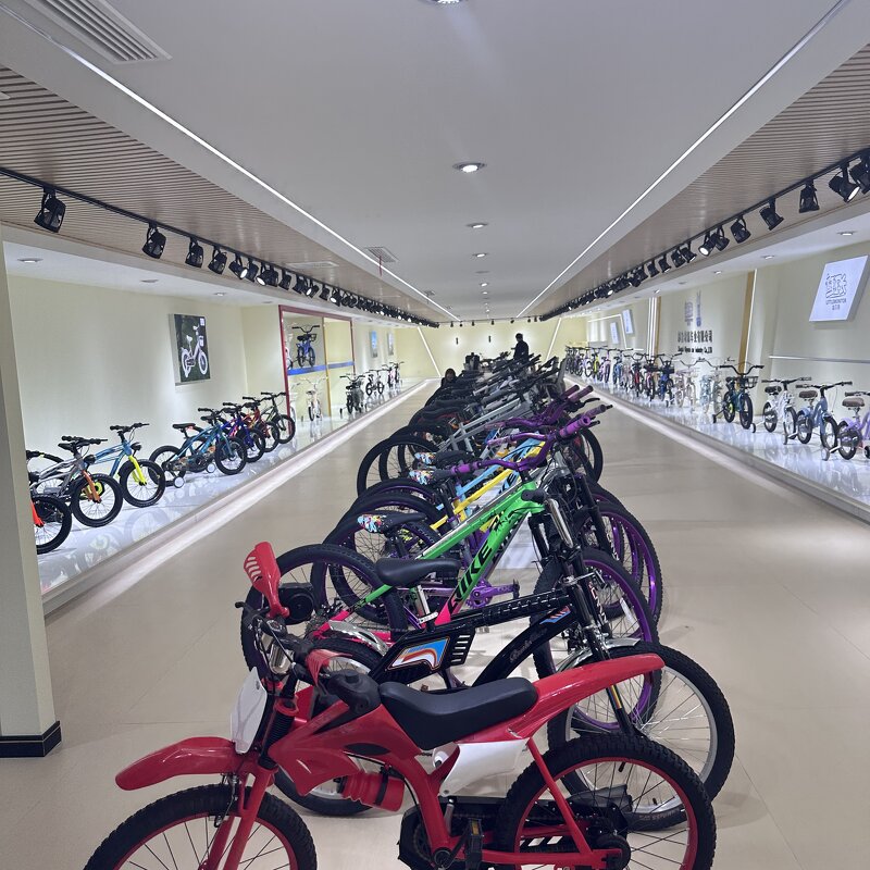 Free Style BMX Bicycle Supplier - OEM 20 Inch Street Bike with V-brake