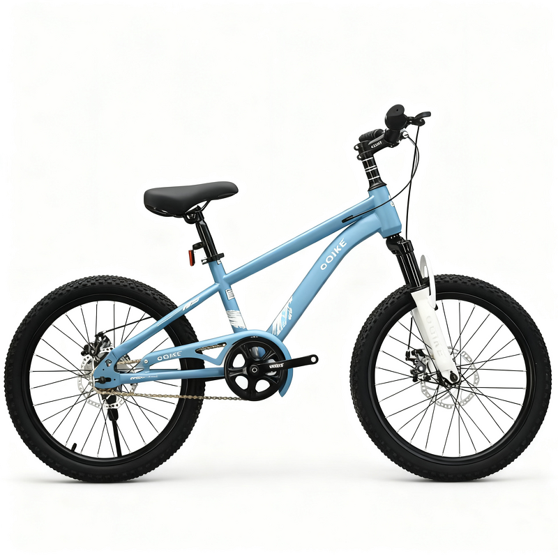 20 Inch Children Bike Factory - OEM Student Bicycle Single Speed Bisicleta