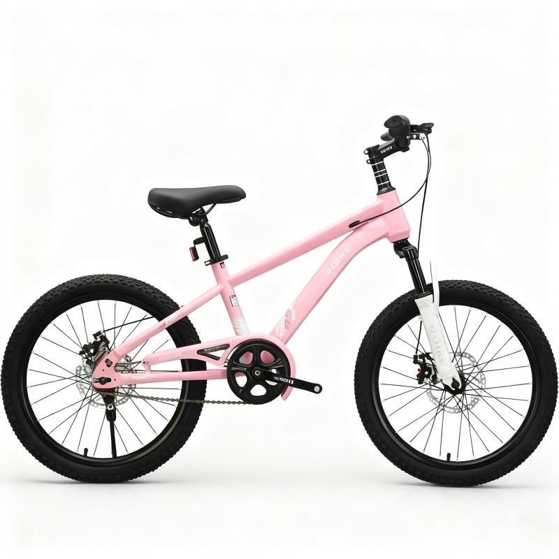 20 Inch Children Bike Factory - OEM Student Bicycle Single Speed Bisicleta