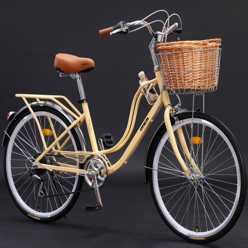 Lady Bike Manufacturer - OEM China Factory Fashional Vintage Leisure Bike