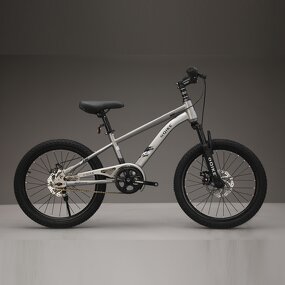 Cycle Supplier - OEM Wholesale Cheap 16-22 Inch High Carbon Steel Frame