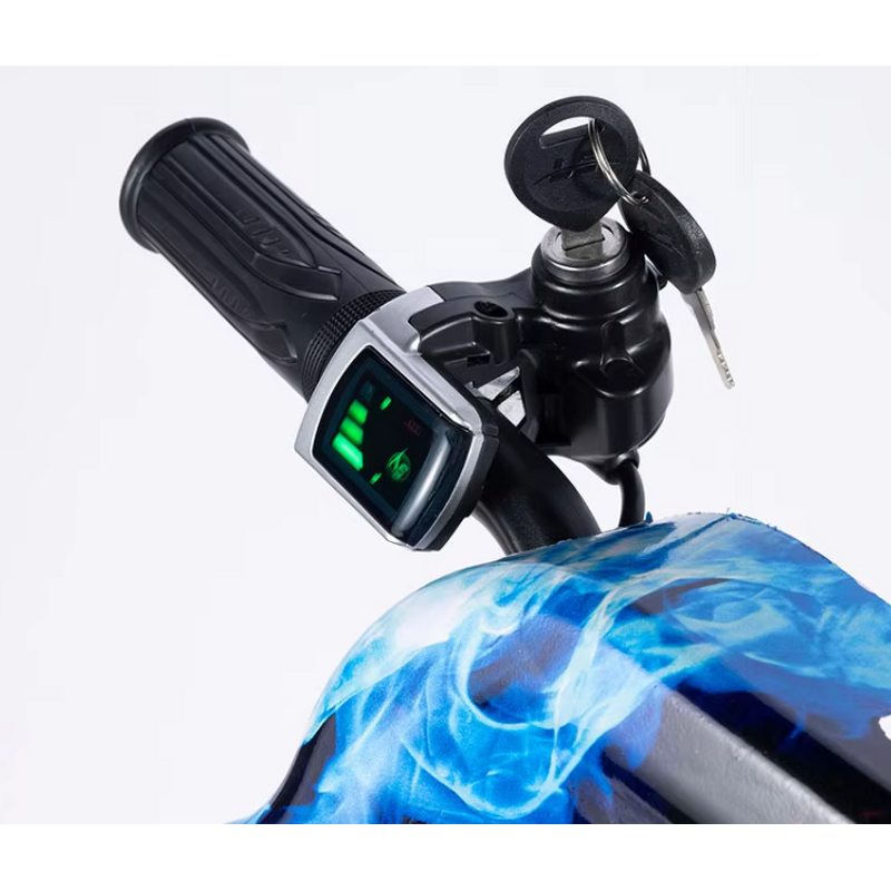 Electric Drift Trike Supplier - OEM Hot Selling 250W 36V Motor Scooter Car