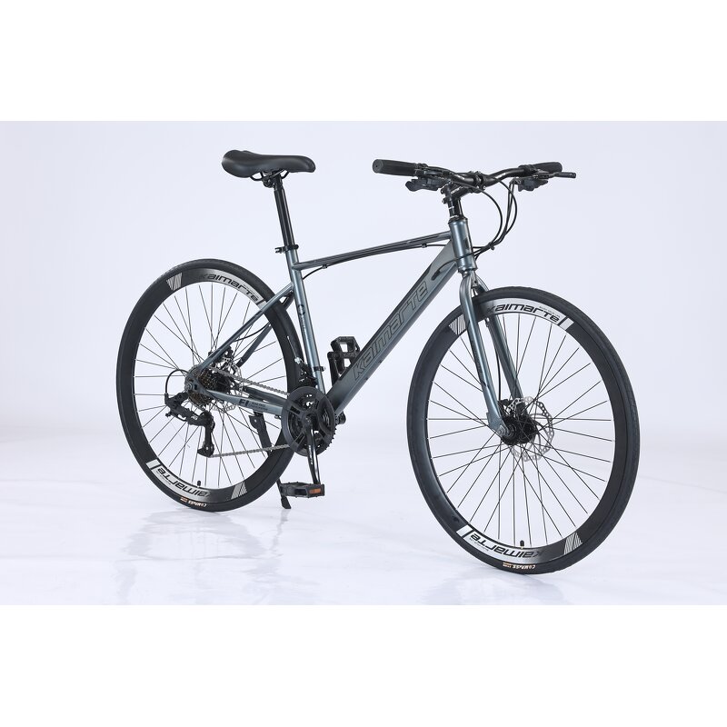 Racing Carbon Steel Bike Manufacturer - OEM Factory Wholesale 24-30 Speed