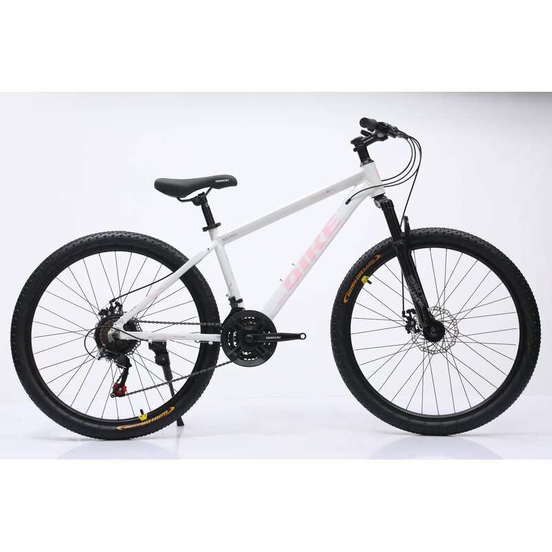 26-Inch Mountain Bike Manufacturer - OEM Variable Speed 21-Speed Disc Brake
