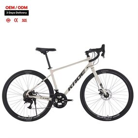 Urban Sports Bikes Factory - OEM Factory Wholesale 24-Speed Integrated Bar