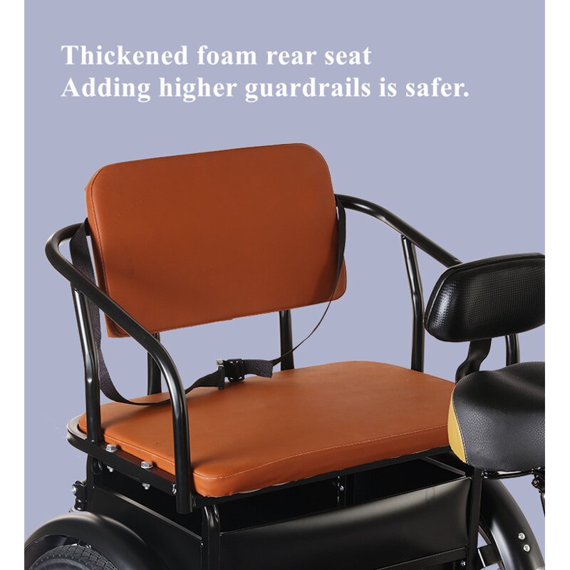 Adult Tricycle Supplier - OEM Factory Price 20-Inch Classic 3 Wheel Bike