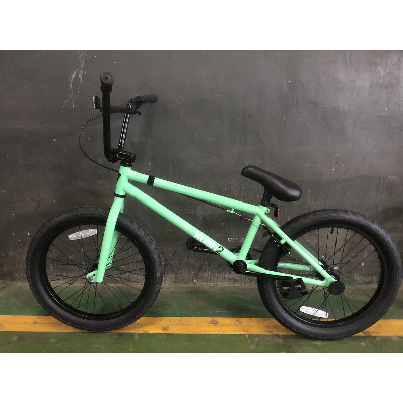 Plating Color Stunt BMX Manufacturer - OEM 20 Inch Dirt Chromoly Alloy Bike