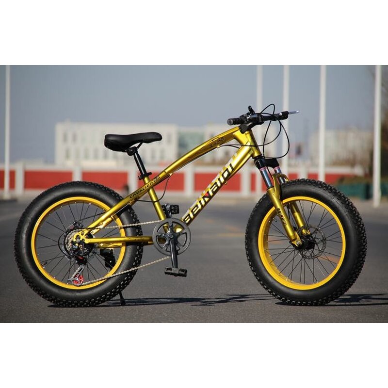 Fat Bike Manufacturer - OEM High Carbon Steel 26'' Beach Cruiser MTB
