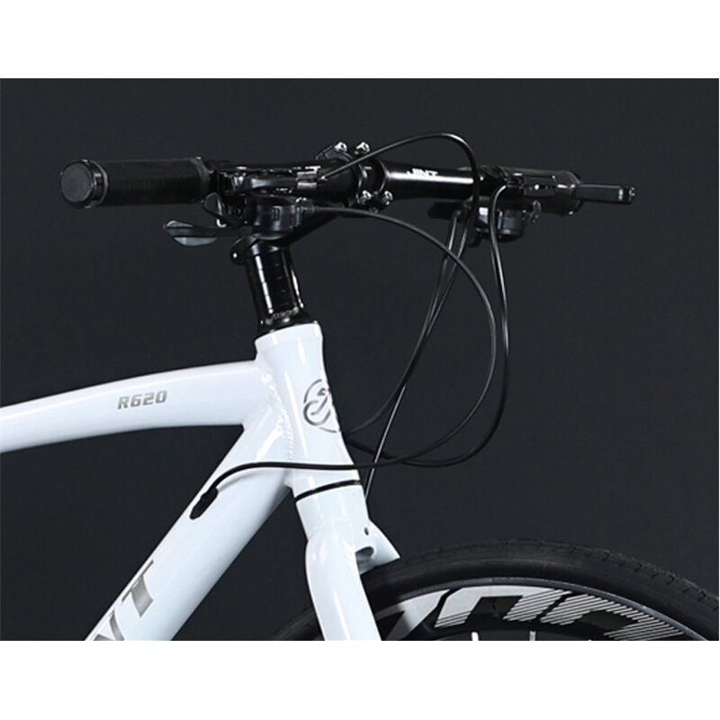 Lightweight Racing Bike Supplier - OEM Aluminum Alloy 9 Speed 700C Road Bike