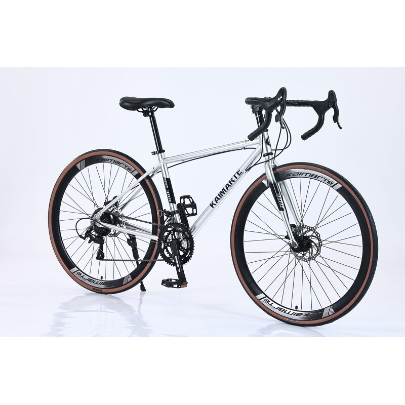 Professional Road Bike Factory - OEM 2025 China Factory 21 Speed Bike