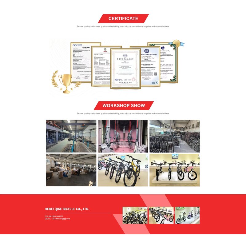 Kids Electric Balance Bike Manufacturer - OEM 12 Inch Magnesium Alloy 120w