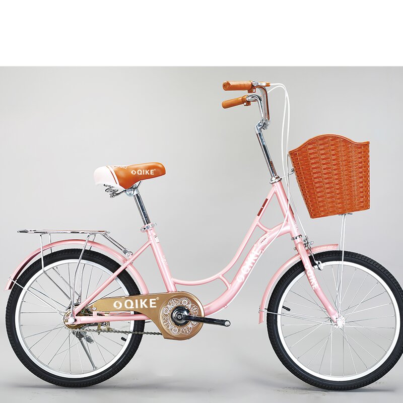 Student Bike Factory - OEM Wholesale 20-22 Inch Steel Frame City Bike