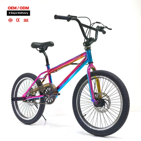 Aluminum Alloy BMX Bike Supplier - OEM 20 Inch Single Speed Mini Bicycle