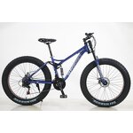 Fat Tire Bike