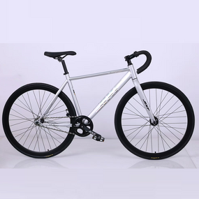Aluminum Alloy Road Bike Supplier - OEM Hot Selling 700-28C Fix Gear Bike