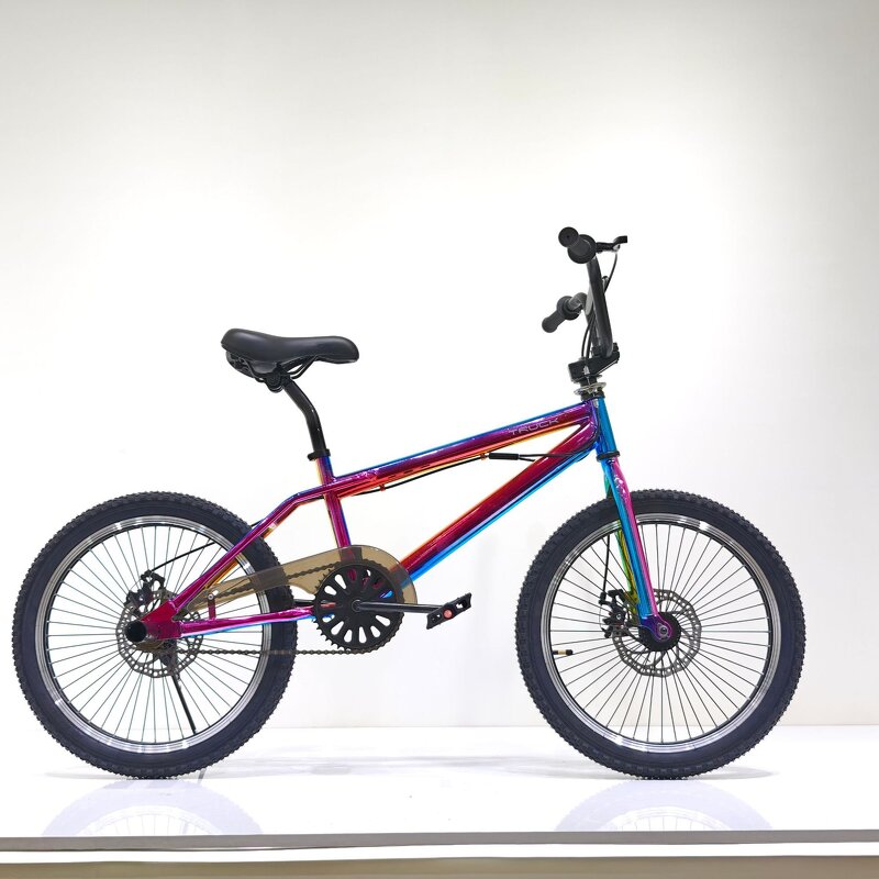 Aluminum Alloy BMX Bike Supplier - OEM 20 Inch Single Speed Mini Bicycle