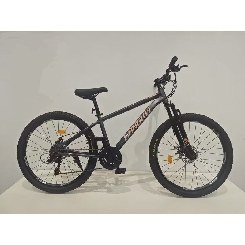 26-Inch Mountain Bicycle Manufacturer - OEM China Factory High Carbon Steel