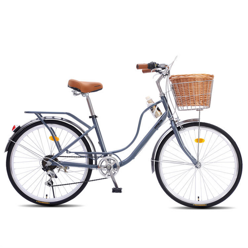 Lady Bike Manufacturer - OEM China Factory Fashional Vintage Leisure Bike