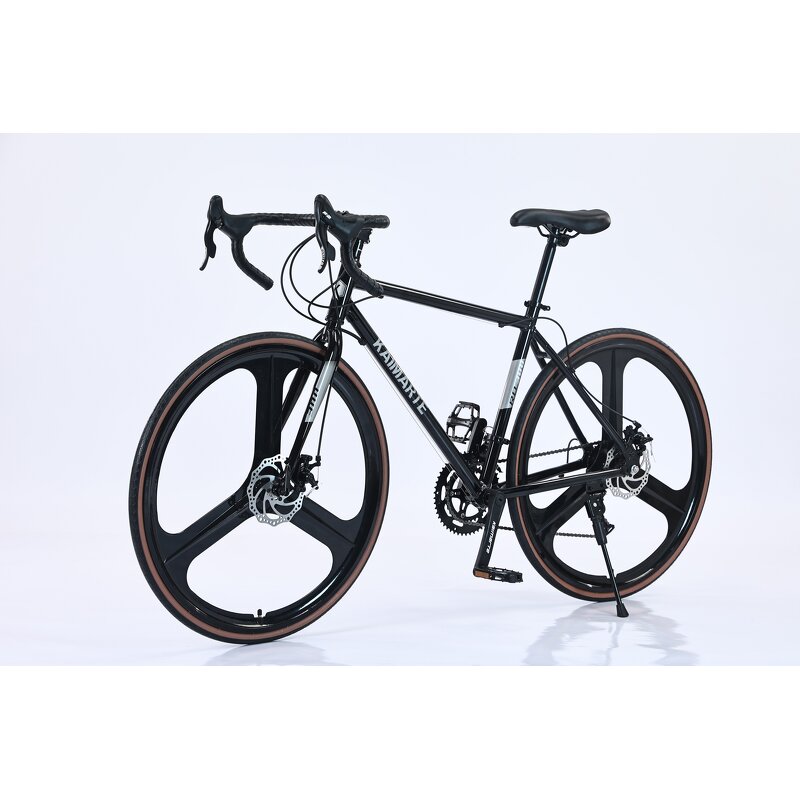 Professional Road Bike Factory - OEM 2025 China Factory 21 Speed Bike