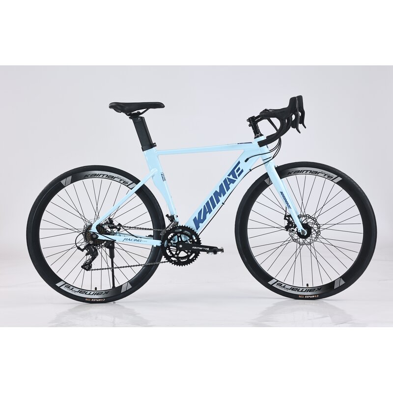 700C Bicycle Manufacturer - OEM Aluminum Alloy Dual Disc Brake Variable Speed