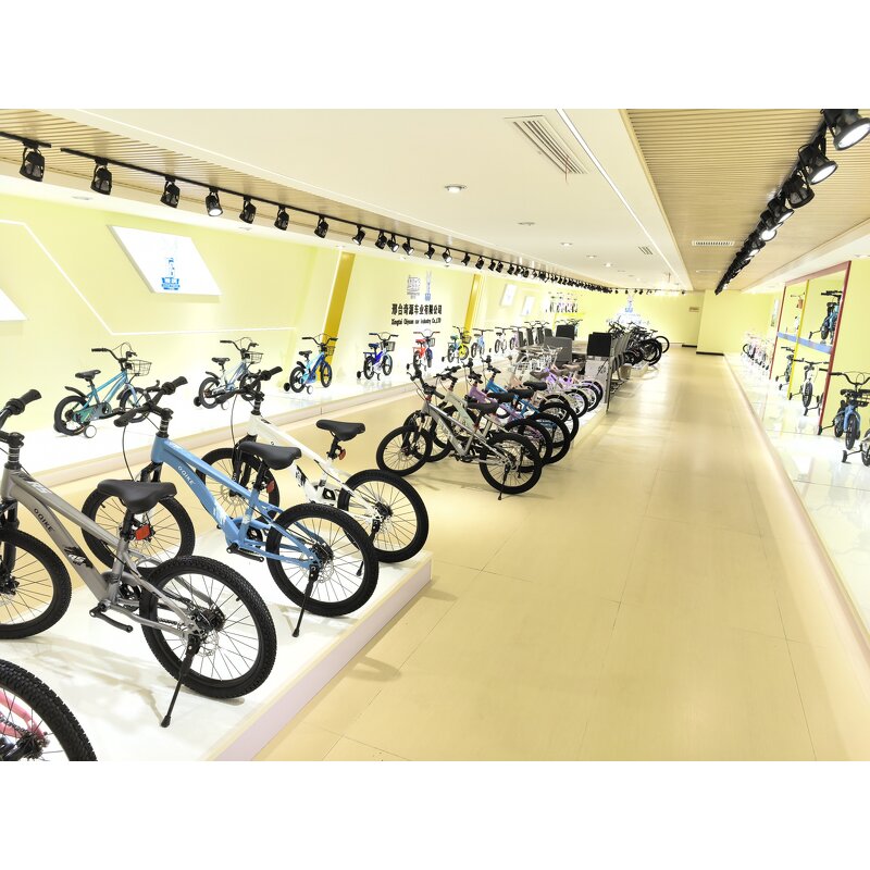 Kids Bike Factory - OEM Factory Wholesale 12-18 Inch Children Bicycle