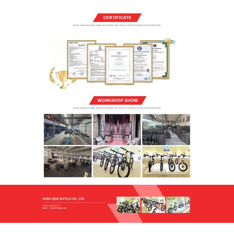 Folding Bicycle Manufacturer - OEM Wholesale 12-20 Inch Adult Student Bike