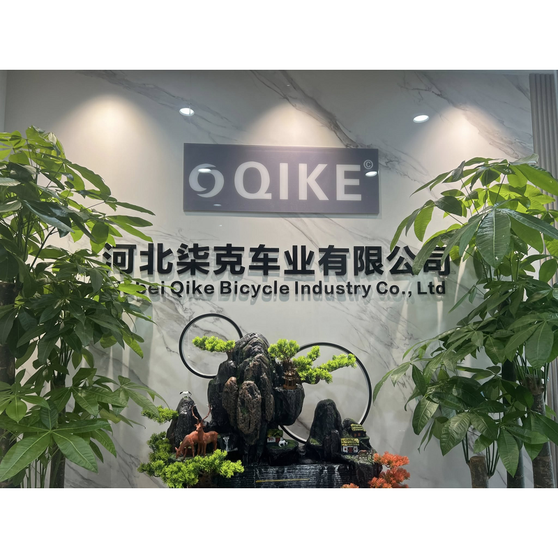 Plating Color Stunt BMX Manufacturer - OEM 20 Inch Dirt Chromoly Alloy Bike