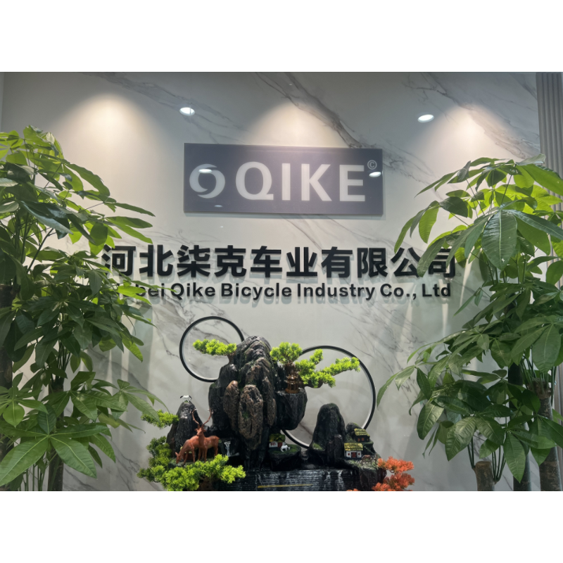 20 Inch Children Bike Factory - OEM Student Bicycle Single Speed Bisicleta