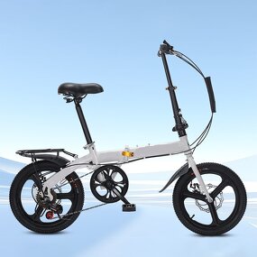 Mini Foldable Bike Manufacturer - OEM Wholesale 12-20 Inch High Carbon Steel