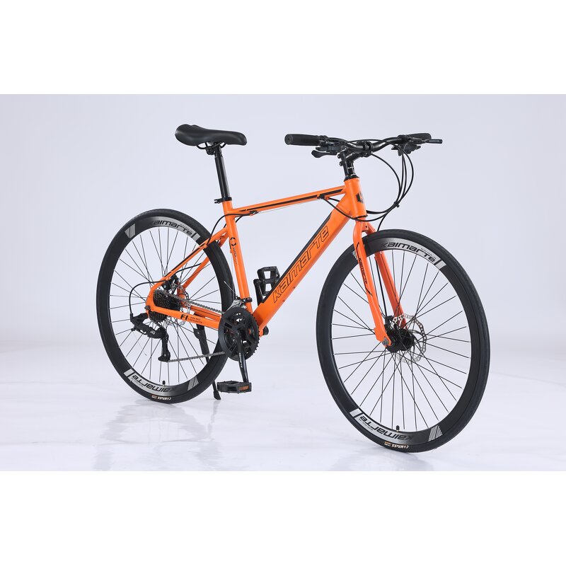 Racing Carbon Steel Bike Manufacturer - OEM Factory Wholesale 24-30 Speed