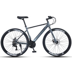 Racing Carbon Steel Bike Manufacturer - OEM Factory Wholesale 24-30 Speed