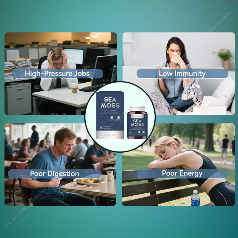 GlowLeaf Sea Moss Capsules OEM Supplement Manufacturer Organic Sea Moss Extract Natural Sea Moss Capsules