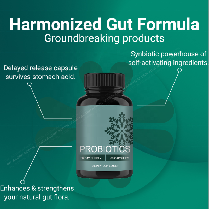 ACORN Probiotics Supplements Prebiotic Postbiotic Support Digestive System Gut Health Probiotic Capsules