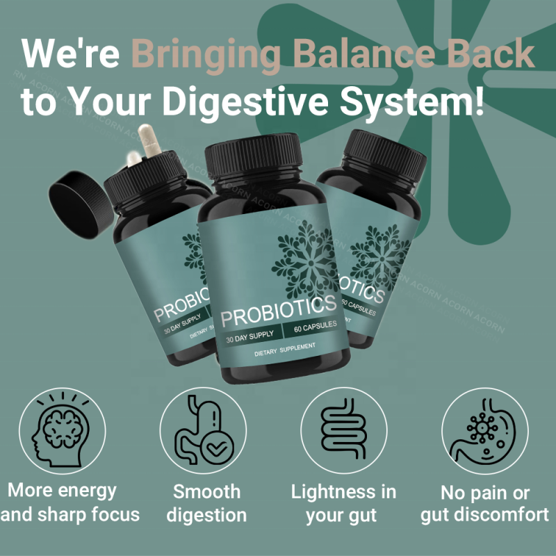 ACORN Probiotics Supplements Prebiotic Postbiotic Support Digestive System Gut Health Probiotic Capsules