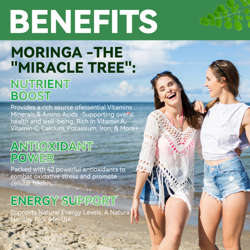 ACORN OEM Moringa Leaf Capsules Gut and Skin Health Supplement Antioxidant Energy Support Immune Moringa Capsules