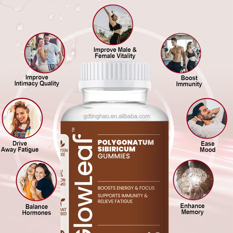 Glowleaf Vegan Maca Extract Gummies Polygonatum Sibiricum Gummies Maca Root Gummies