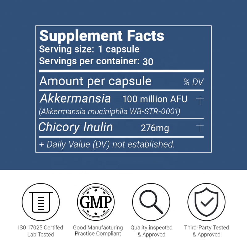 ACORN OEM Private Label Support Gut Health Probiotics Supplements Digestive Health Akkermansia Probiotic Capsules