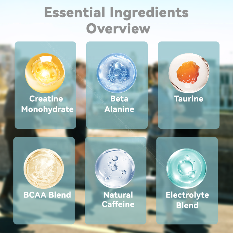 ACORN Creatine Infused Gummies Creatine Gummies 5000mg Creatine Monohydrate Gummies