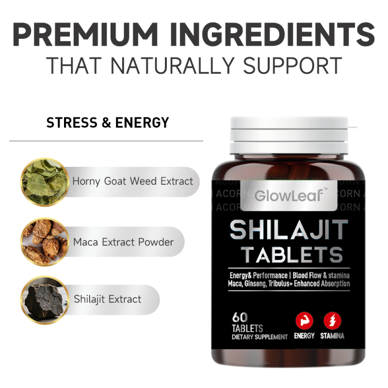 GlowLeaf Shilajit Pure Tablet Shilajit Naturel Shilajit Resin Tablets Herbal Supplement