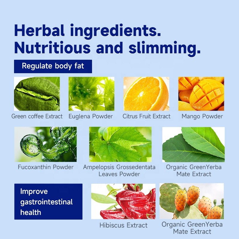 Herbal Supplement Promote Fat Metabolism Oral Liquid Tablet Product Set Weight Management Products