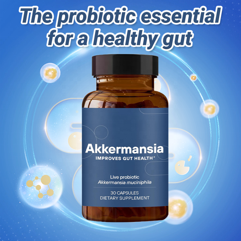 ACORN OEM Private Label Support Gut Health Probiotics Supplements Digestive Health Akkermansia Probiotic Capsules