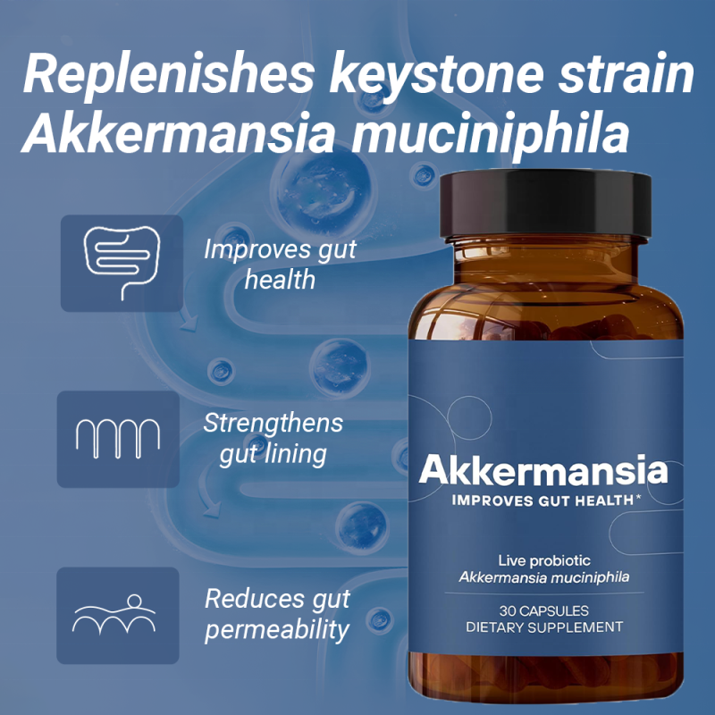 ACORN OEM Private Label Support Gut Health Probiotics Supplements Digestive Health Akkermansia Probiotic Capsules