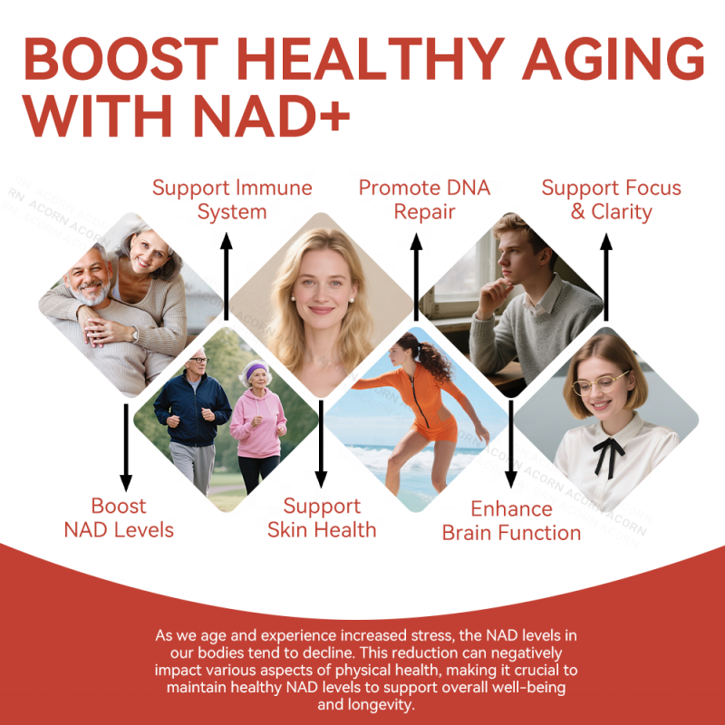 ACORN Antioxidant NAD+ Drink Oral Liquid with PQQ Heart Support Con Resveratrol NAD Supplements 1000mg