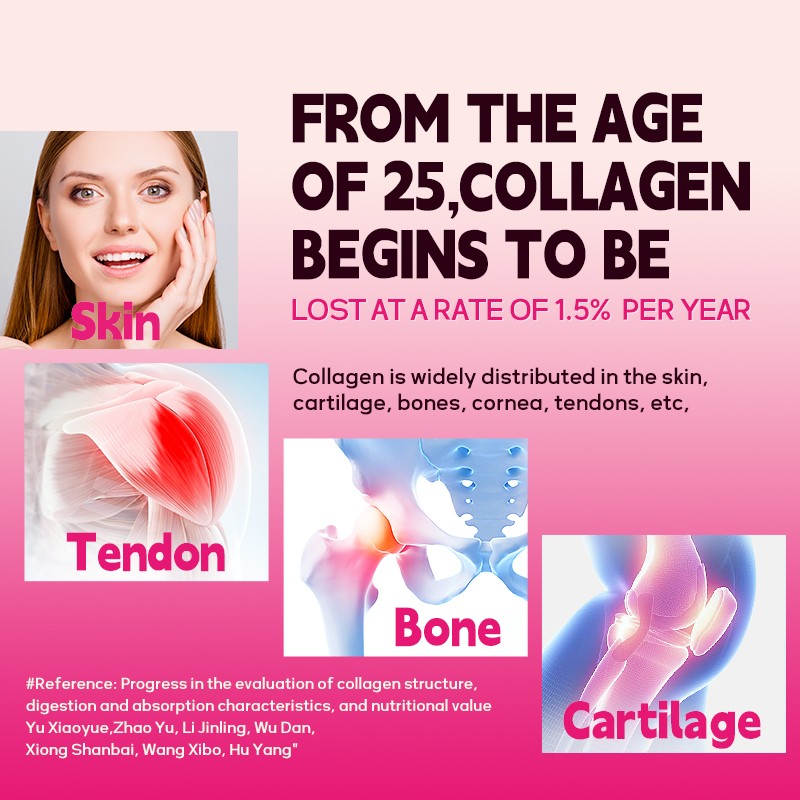 ACORN Supplement Biotin Vitamin C Hyaluronic Acid Hydrolysed Collagen Peptides Powder Hydrolyzed Collagen for Better Absorption