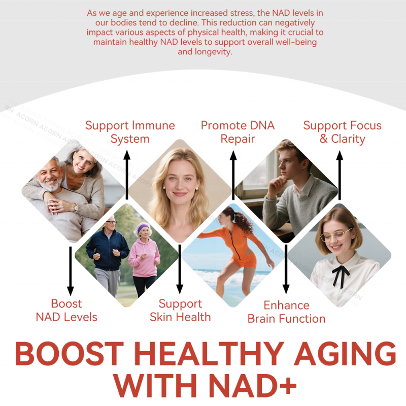 ACORN Private Label NAD Supplements Beverage Energy Support Berry Flavor NAD+ 1000mg Nicotinamide Drink for Adult