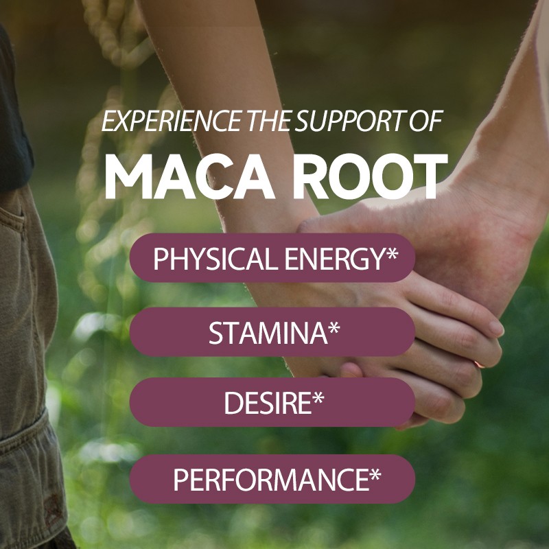 ACORN OEM ODM Boost Vitality Anti-fatigue Maca Root Gummy for Adult Energy Support MACA Gummies