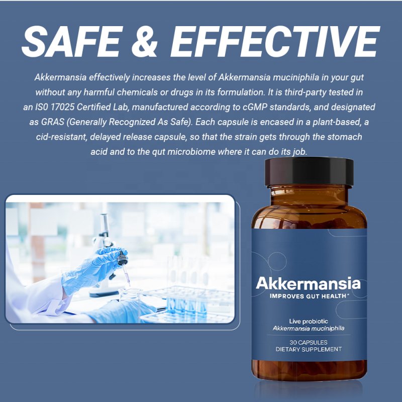 ACORN OEM Private Label Support Gut Health Probiotics Supplements Digestive Health Akkermansia Probiotic Capsules